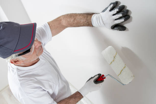 Best Basement Mold Removal  in Jacksonville, OR