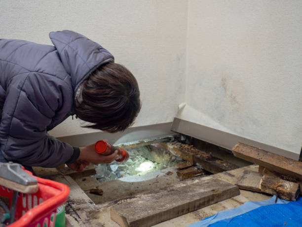Best HVAC Mold Inspection and Cleaning  in Jacksonville, OR