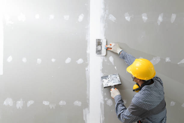 Best Mold Odor Removal Services  in Jacksonville, OR
